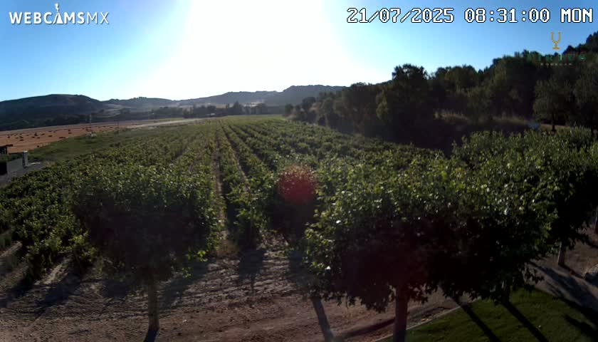 (Virtus Wineries)  Bodegas Virtus ,Ribera del Duero Live Cam - Valladolid, Castilla & Leon, Spain