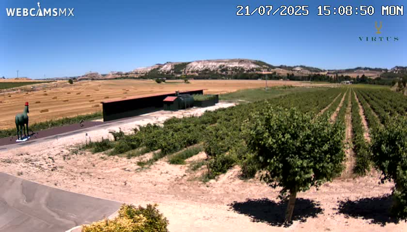 (Virtus Wineries)  Bodegas Virtus ,Ribera del Duero Live Cam - Valladolid, Castilla & Leon, Spain