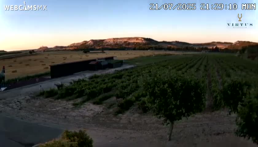 (Virtus Wineries)  Bodegas Virtus ,Ribera del Duero Live Cam - Valladolid, Castilla & Leon, Spain