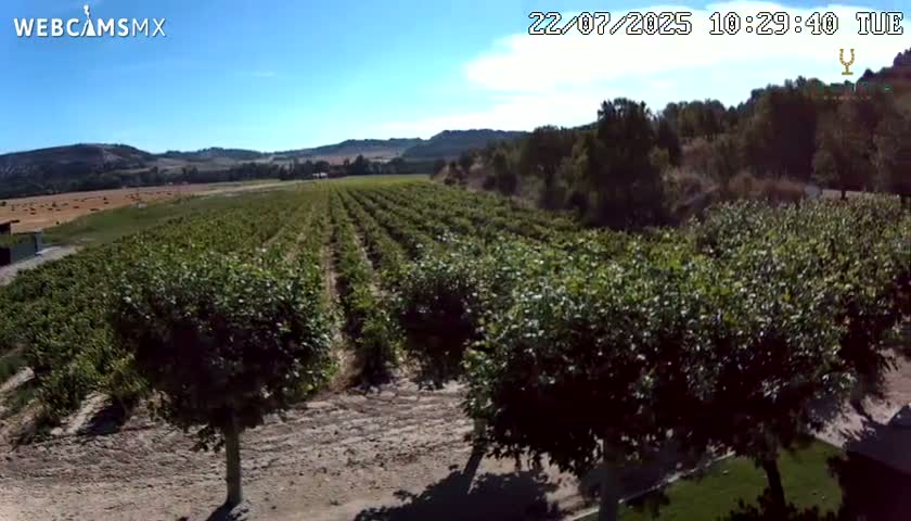 (Virtus Wineries)  Bodegas Virtus ,Ribera del Duero Live Cam - Valladolid, Castilla & Leon, Spain