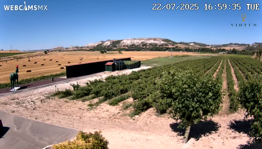 (Virtus Wineries)  Bodegas Virtus ,Ribera del Duero Live Cam - Valladolid, Castilla & Leon, Spain