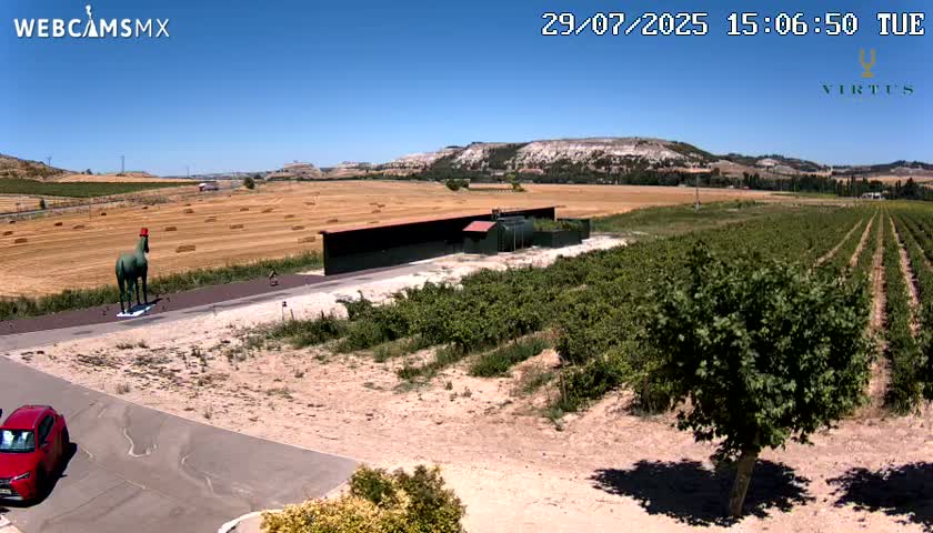 (Virtus Wineries)  Bodegas Virtus ,Ribera del Duero Live Cam - Valladolid, Castilla & Leon, Spain