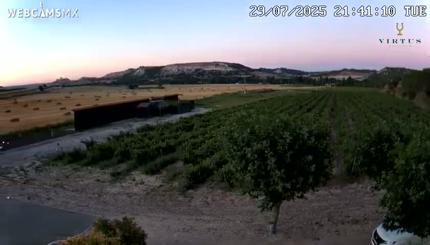 (Virtus Wineries)  Bodegas Virtus ,Ribera del Duero Live Cam - Valladolid, Castilla & Leon, Spain