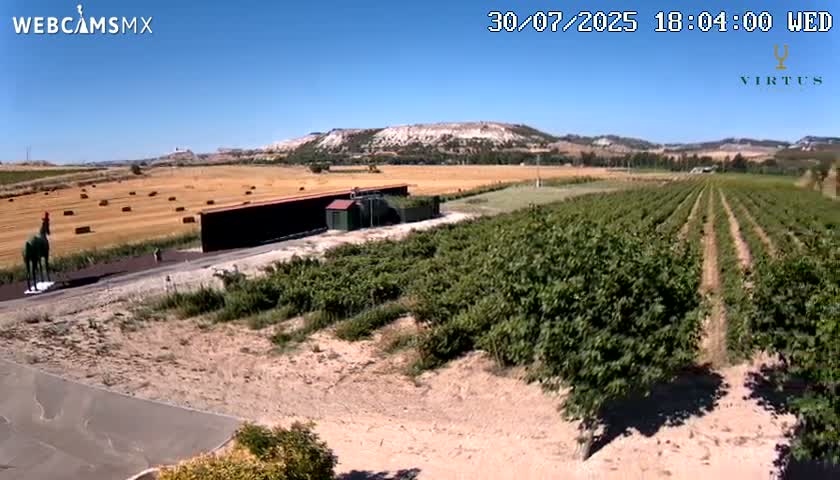 (Virtus Wineries)  Bodegas Virtus ,Ribera del Duero Live Cam - Valladolid, Castilla & Leon, Spain