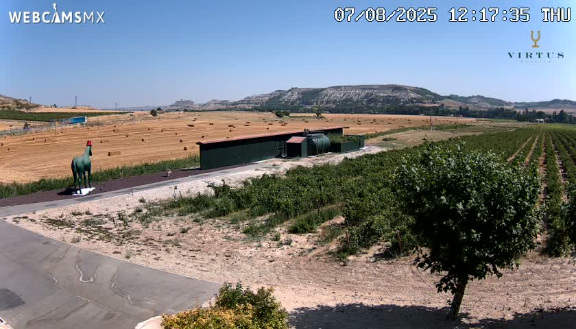 (Virtus Wineries)  Bodegas Virtus ,Ribera del Duero Live Cam - Valladolid, Castilla & Leon, Spain