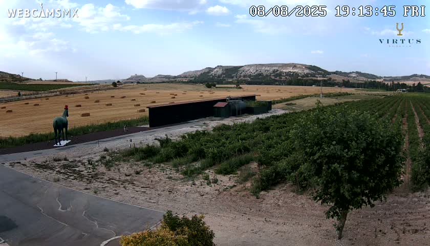 (Virtus Wineries)  Bodegas Virtus ,Ribera del Duero Live Cam - Valladolid, Castilla & Leon, Spain