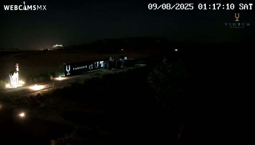 (Virtus Wineries)  Bodegas Virtus ,Ribera del Duero Live Cam - Valladolid, Castilla & Leon, Spain