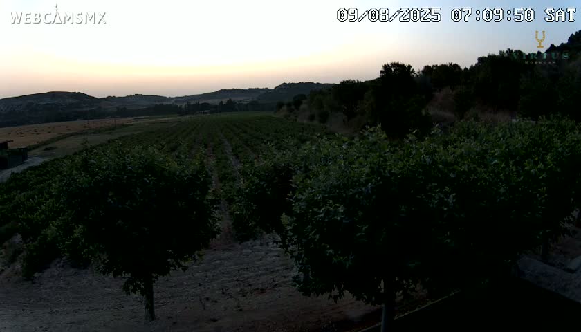 (Virtus Wineries)  Bodegas Virtus ,Ribera del Duero Live Cam - Valladolid, Castilla & Leon, Spain