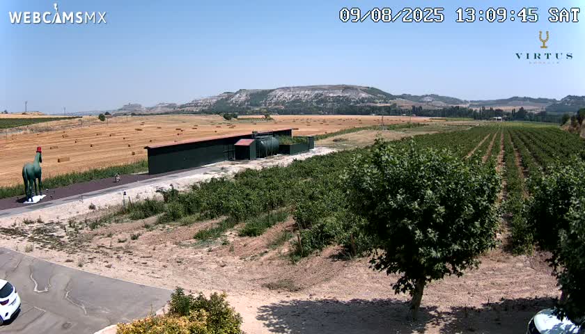 (Virtus Wineries)  Bodegas Virtus ,Ribera del Duero Live Cam - Valladolid, Castilla & Leon, Spain