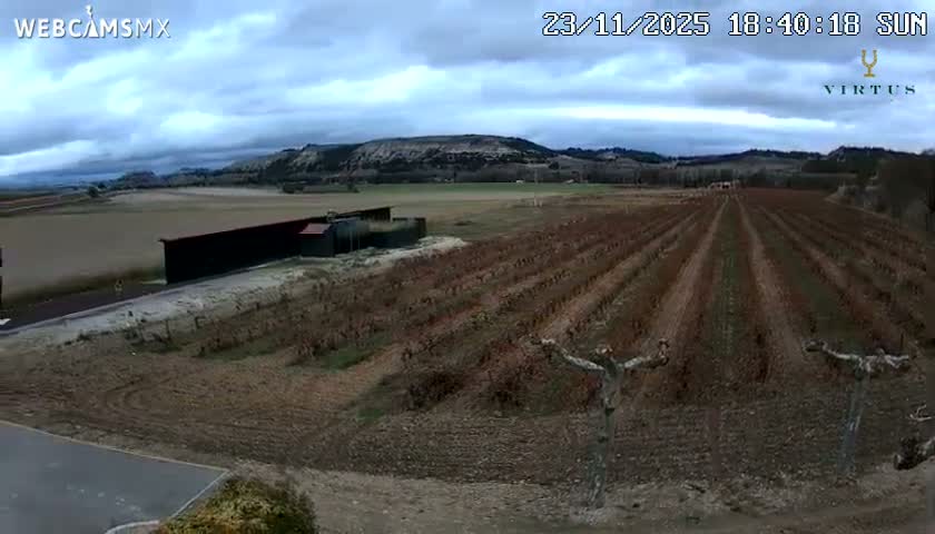 (Virtus Wineries)  Bodegas Virtus ,Ribera del Duero Live Cam - Valladolid, Castilla & Leon, Spain