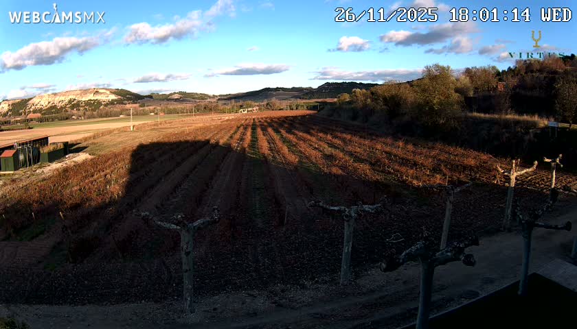 (Virtus Wineries)  Bodegas Virtus ,Ribera del Duero Live Cam - Valladolid, Castilla & Leon, Spain