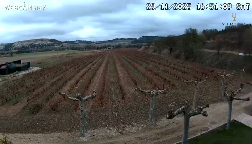 (Virtus Wineries)  Bodegas Virtus ,Ribera del Duero Live Cam - Valladolid, Castilla & Leon, Spain