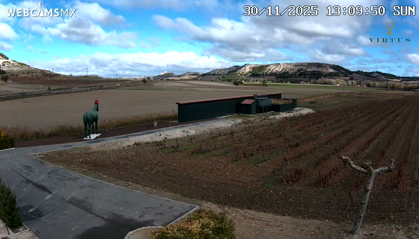 (Virtus Wineries)  Bodegas Virtus ,Ribera del Duero Live Cam - Valladolid, Castilla & Leon, Spain