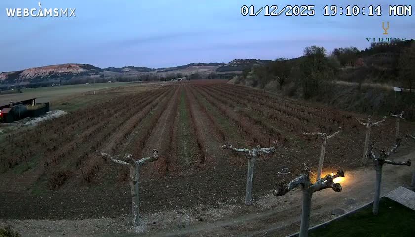 (Virtus Wineries)  Bodegas Virtus ,Ribera del Duero Live Cam - Valladolid, Castilla & Leon, Spain
