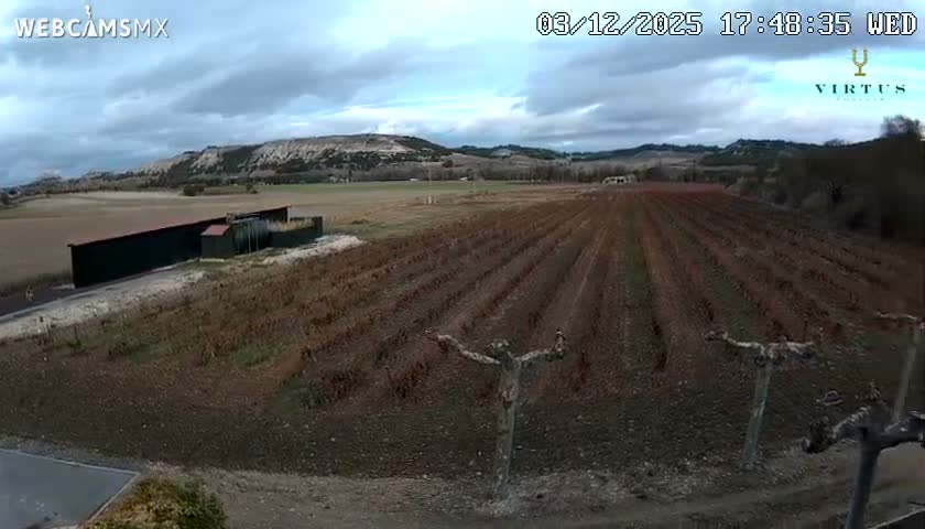 (Virtus Wineries)  Bodegas Virtus ,Ribera del Duero Live Cam - Valladolid, Castilla & Leon, Spain