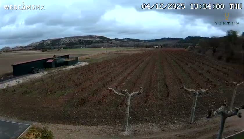 (Virtus Wineries)  Bodegas Virtus ,Ribera del Duero Live Cam - Valladolid, Castilla & Leon, Spain