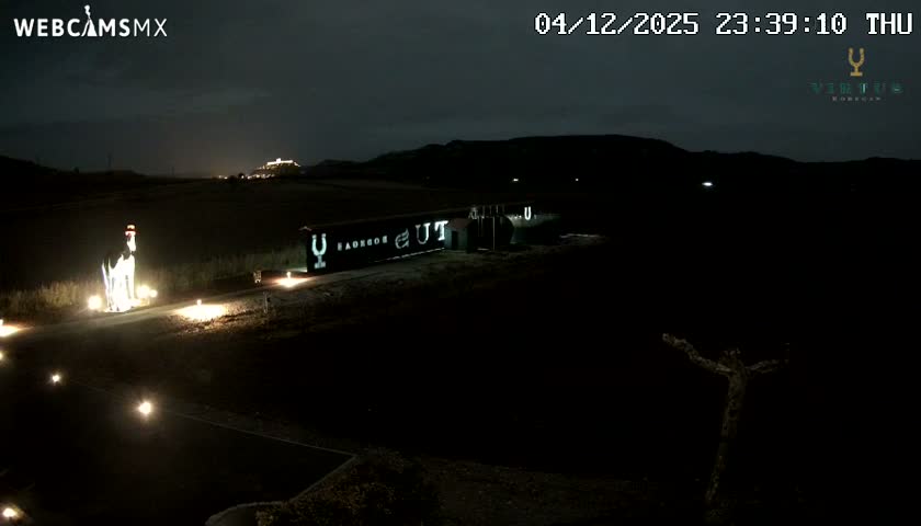 (Virtus Wineries)  Bodegas Virtus ,Ribera del Duero Live Cam - Valladolid, Castilla & Leon, Spain