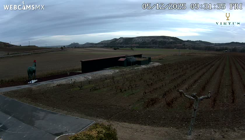 (Virtus Wineries)  Bodegas Virtus ,Ribera del Duero Live Cam - Valladolid, Castilla & Leon, Spain