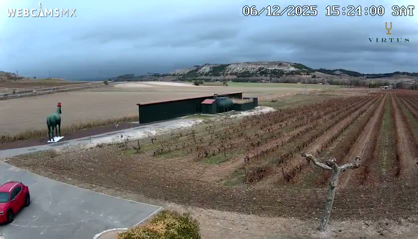 (Virtus Wineries)  Bodegas Virtus ,Ribera del Duero Live Cam - Valladolid, Castilla & Leon, Spain