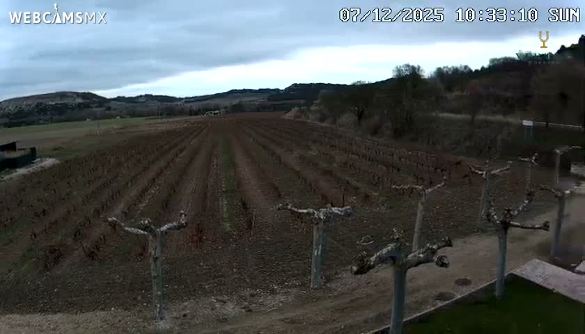 (Virtus Wineries)  Bodegas Virtus ,Ribera del Duero Live Cam - Valladolid, Castilla & Leon, Spain