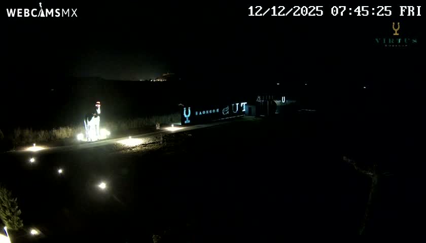 (Virtus Wineries)  Bodegas Virtus ,Ribera del Duero Live Cam - Valladolid, Castilla & Leon, Spain