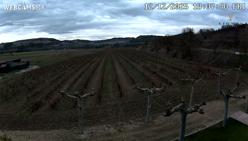 (Virtus Wineries)  Bodegas Virtus ,Ribera del Duero Live Cam - Valladolid, Castilla & Leon, Spain