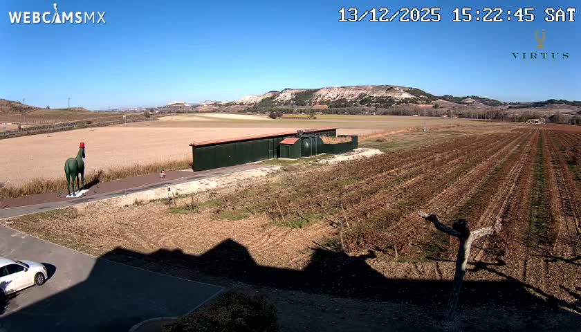 (Virtus Wineries)  Bodegas Virtus ,Ribera del Duero Live Cam - Valladolid, Castilla & Leon, Spain