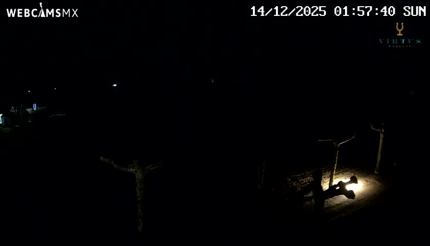 (Virtus Wineries)  Bodegas Virtus ,Ribera del Duero Live Cam - Valladolid, Castilla & Leon, Spain