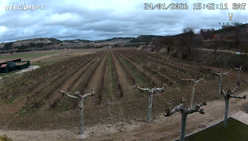 (Virtus Wineries)  Bodegas Virtus ,Ribera del Duero Live Cam - Valladolid, Castilla & Leon, Spain