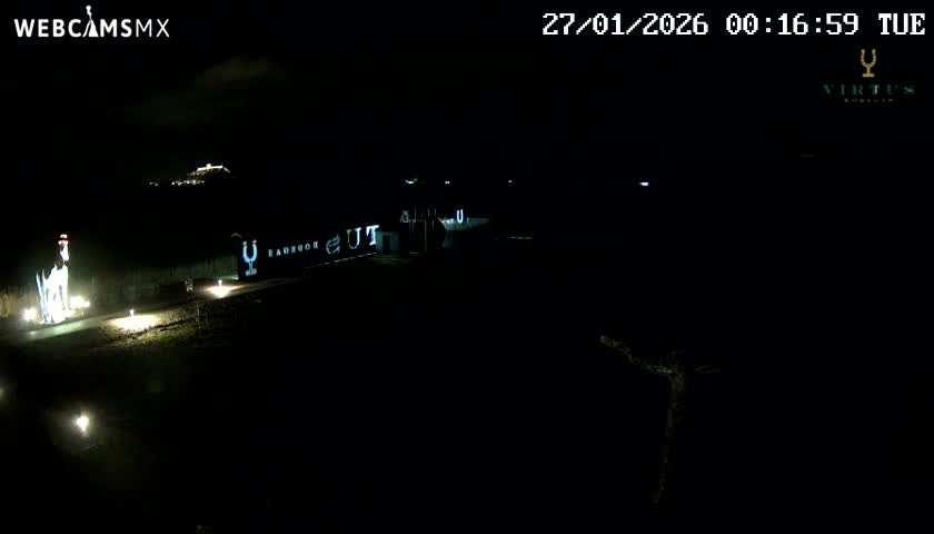 (Virtus Wineries)  Bodegas Virtus ,Ribera del Duero Live Cam - Valladolid, Castilla & Leon, Spain
