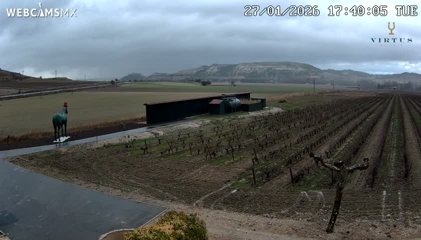 (Virtus Wineries)  Bodegas Virtus ,Ribera del Duero Live Cam - Valladolid, Castilla & Leon, Spain