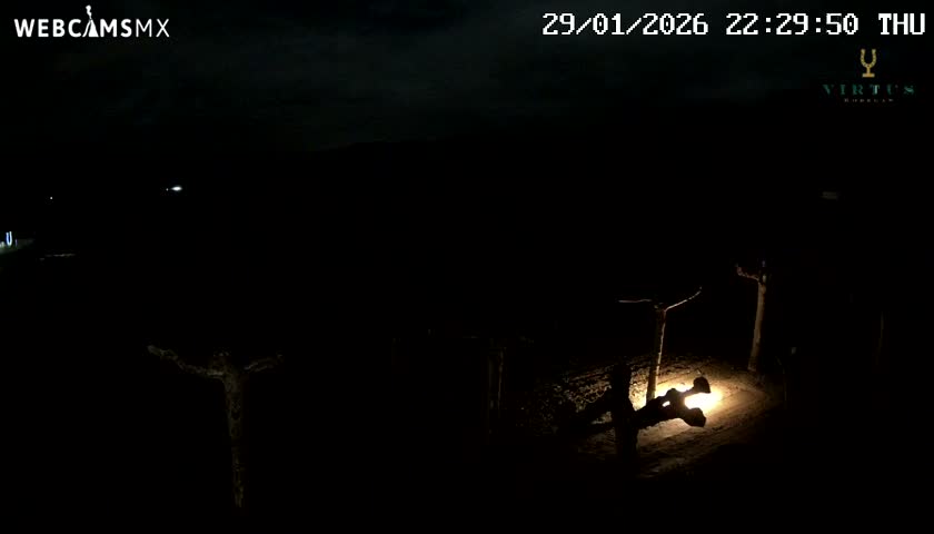 (Virtus Wineries)  Bodegas Virtus ,Ribera del Duero Live Cam - Valladolid, Castilla & Leon, Spain