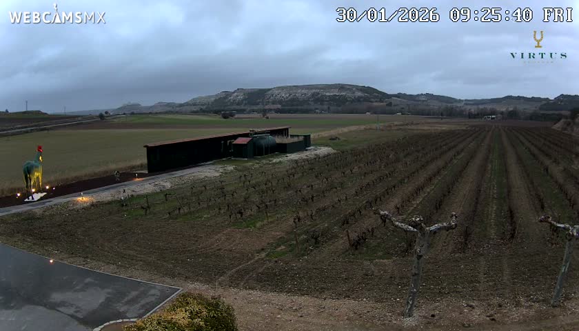 (Virtus Wineries)  Bodegas Virtus ,Ribera del Duero Live Cam - Valladolid, Castilla & Leon, Spain