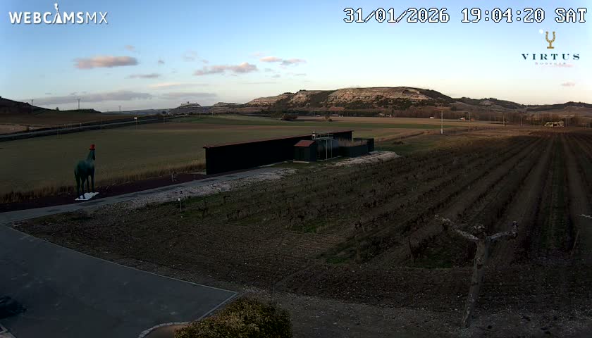 (Virtus Wineries)  Bodegas Virtus ,Ribera del Duero Live Cam - Valladolid, Castilla & Leon, Spain