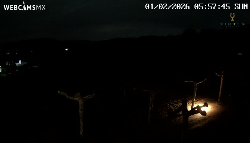 (Virtus Wineries)  Bodegas Virtus ,Ribera del Duero Live Cam - Valladolid, Castilla & Leon, Spain