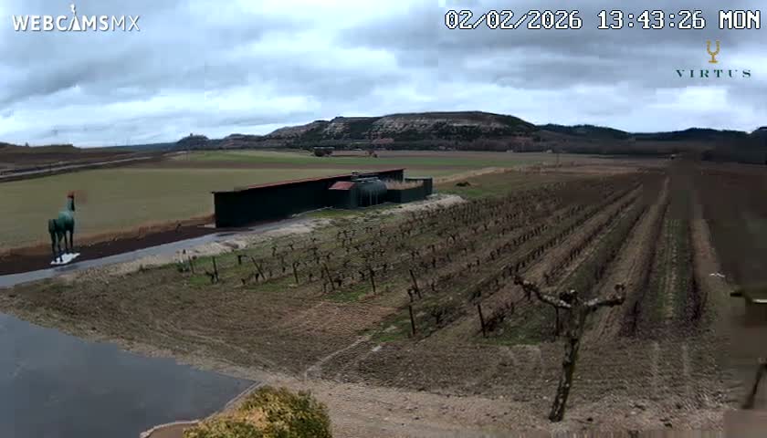 (Virtus Wineries)  Bodegas Virtus ,Ribera del Duero Live Cam - Valladolid, Castilla & Leon, Spain