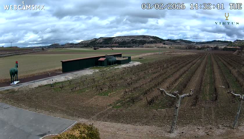 (Virtus Wineries)  Bodegas Virtus ,Ribera del Duero Live Cam - Valladolid, Castilla & Leon, Spain