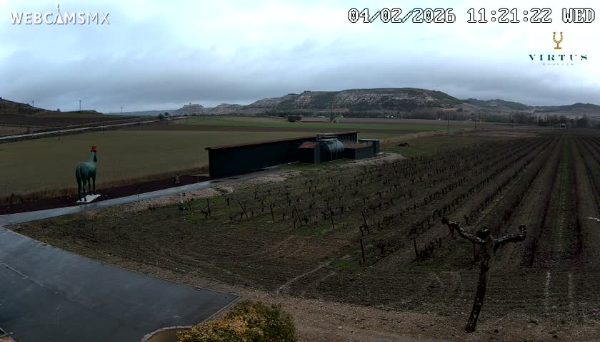 (Virtus Wineries)  Bodegas Virtus ,Ribera del Duero Live Cam - Valladolid, Castilla & Leon, Spain