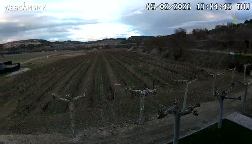 (Virtus Wineries)  Bodegas Virtus ,Ribera del Duero Live Cam - Valladolid, Castilla & Leon, Spain
