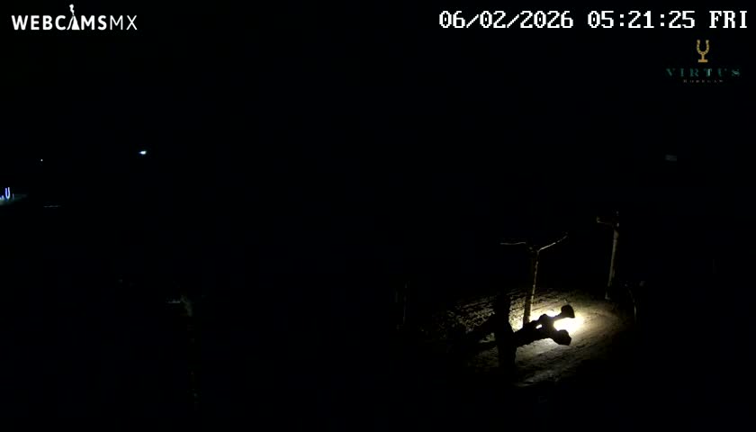 (Virtus Wineries)  Bodegas Virtus ,Ribera del Duero Live Cam - Valladolid, Castilla & Leon, Spain