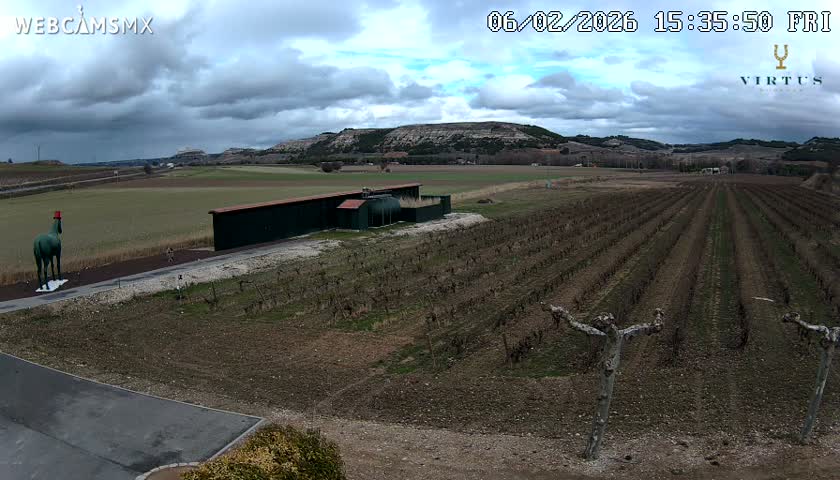 (Virtus Wineries)  Bodegas Virtus ,Ribera del Duero Live Cam - Valladolid, Castilla & Leon, Spain