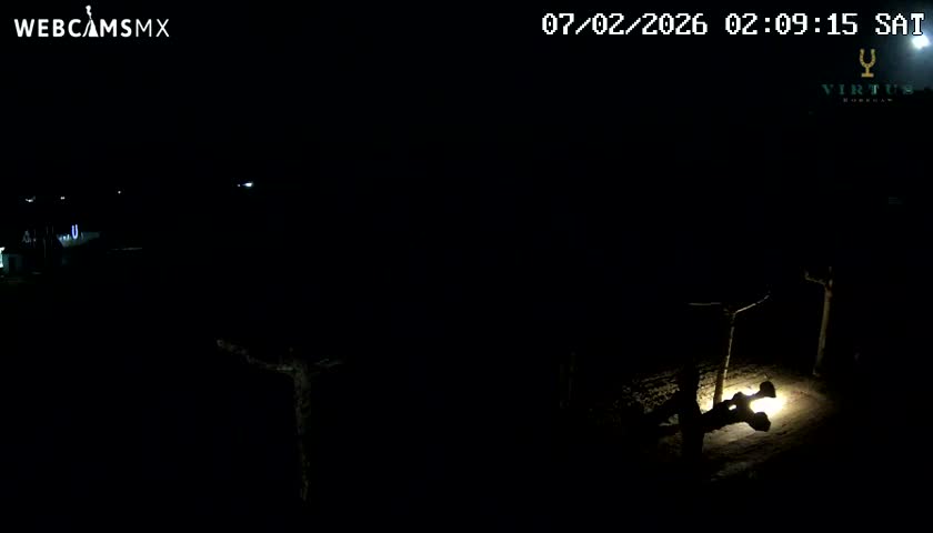 (Virtus Wineries)  Bodegas Virtus ,Ribera del Duero Live Cam - Valladolid, Castilla & Leon, Spain