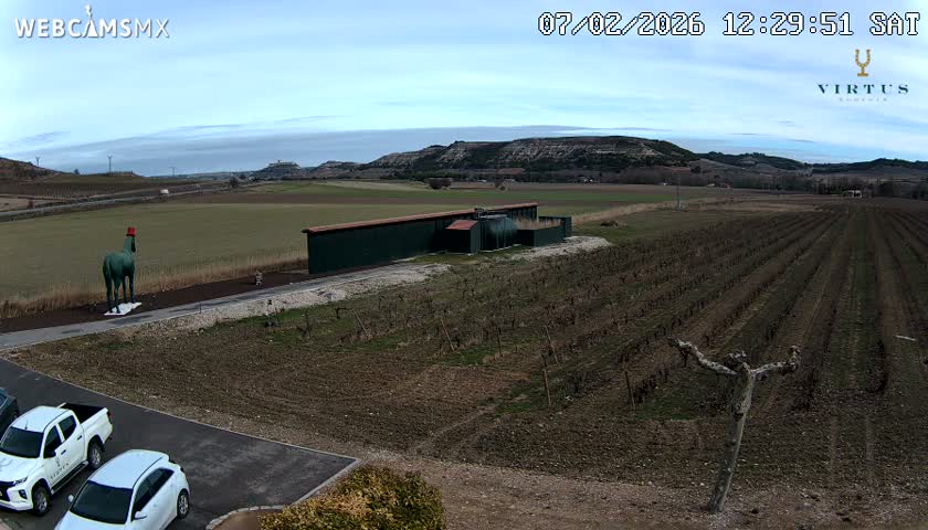 (Virtus Wineries)  Bodegas Virtus ,Ribera del Duero Live Cam - Valladolid, Castilla & Leon, Spain
