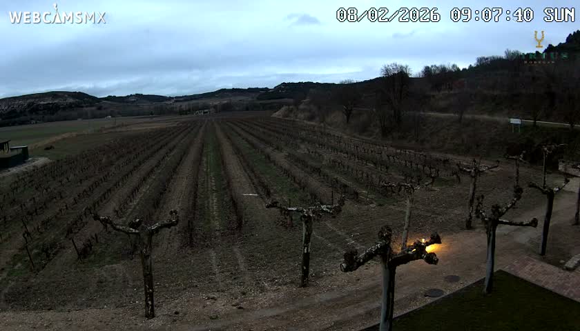 (Virtus Wineries)  Bodegas Virtus ,Ribera del Duero Live Cam - Valladolid, Castilla & Leon, Spain