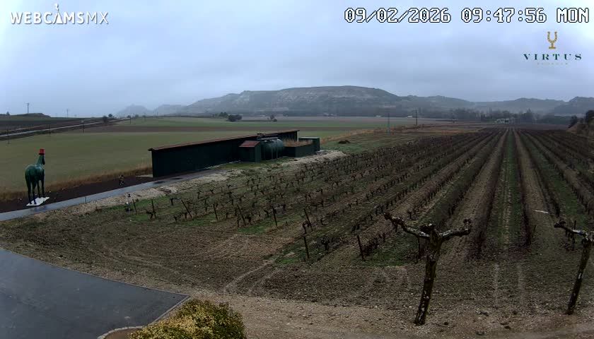 (Virtus Wineries)  Bodegas Virtus ,Ribera del Duero Live Cam - Valladolid, Castilla & Leon, Spain