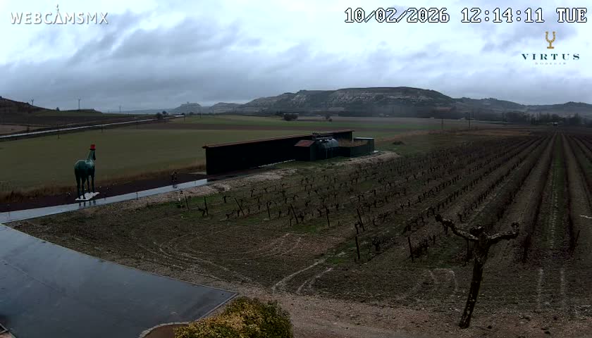 (Virtus Wineries)  Bodegas Virtus ,Ribera del Duero Live Cam - Valladolid, Castilla & Leon, Spain