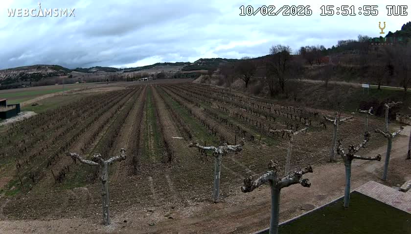 (Virtus Wineries)  Bodegas Virtus ,Ribera del Duero Live Cam - Valladolid, Castilla & Leon, Spain