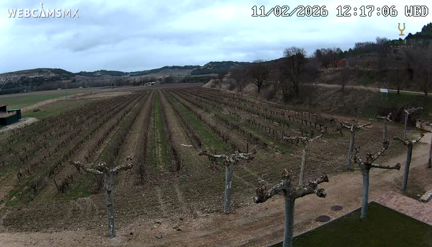 (Virtus Wineries)  Bodegas Virtus ,Ribera del Duero Live Cam - Valladolid, Castilla & Leon, Spain