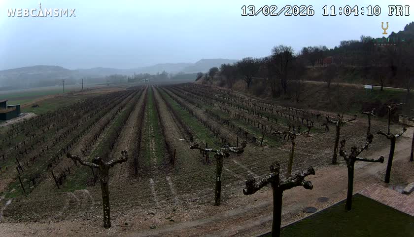 (Virtus Wineries)  Bodegas Virtus ,Ribera del Duero Live Cam - Valladolid, Castilla & Leon, Spain