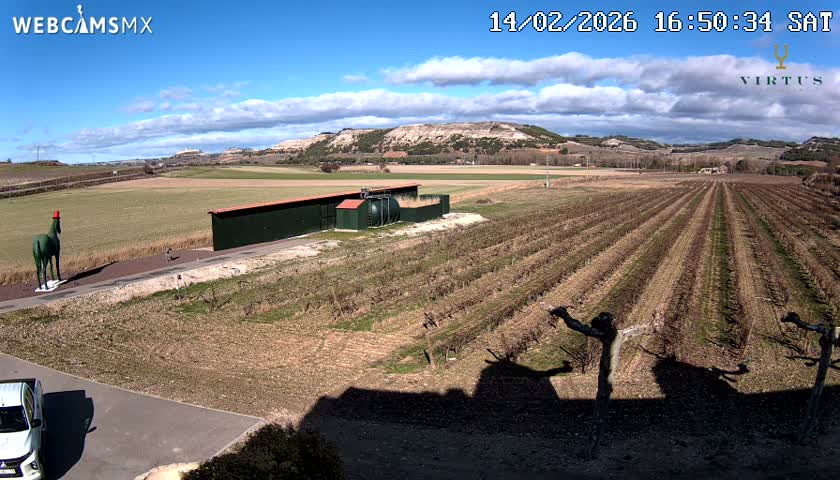 (Virtus Wineries)  Bodegas Virtus ,Ribera del Duero Live Cam - Valladolid, Castilla & Leon, Spain